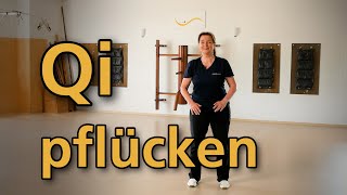 Qi pflücken  Qigong powered by PRT [upl. by Xymenes886]