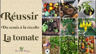 La tomate du semis à la récolte [upl. by Itsrejk]