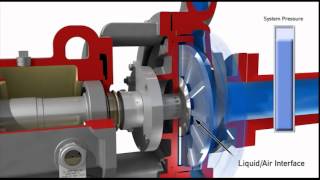 Dynamic Sealing in Chemical Process Pumps [upl. by Skeie]