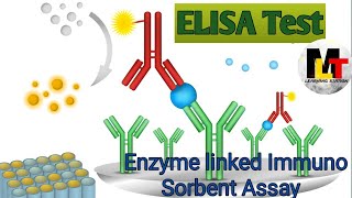 ELISA Test ।। Enzyme Linked Immuno Sorbent Assay in Hindi Notes [upl. by Ahsemed]