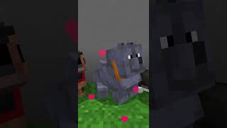 Pet Dogs In Minecraft 🐶 minecraft pets [upl. by Olivie]