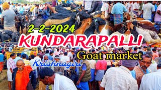 222024 Kundarapalli Friday Goat marketTamilnadu Biggest Goat market in Krishnagiri price details [upl. by Jabon264]