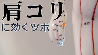 肩こりに効く手のツボ 「後谿」 stiff neck massage point quotkoukeiquot [upl. by Ibur]