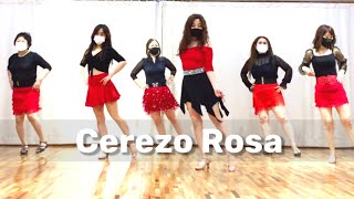 Cerezo Rosa line danceImprover세레죠 로사 초중급라인댄스 [upl. by Atiuqram]