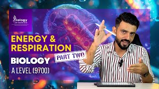 Energy amp Respiration  A level Biology 9700 Part II [upl. by Odnanref597]