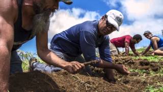 Unearthing Hawaiis lost agricultural traditions [upl. by Dnumde]