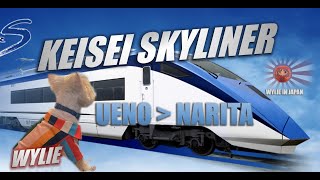 QUICKEST Train to NARITA  KEISEI SKYLINER  UENO  DOGS ALLOWED [upl. by Aramaj951]