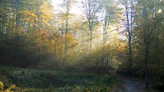 Sokolov  Rachmaninov Prelude op32 n5 1981wmv [upl. by Brunhilda435]