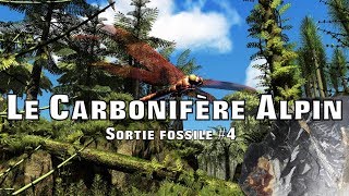 Le Carbonifère Alpin [upl. by Llet258]