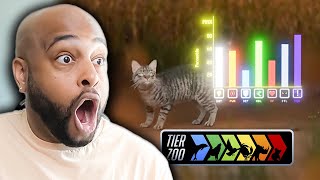 How Cats Broke The Game  TierZoo   Reaction [upl. by Alilahk]