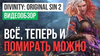 Обзор игры Divinity Original Sin 2 [upl. by Berstine]