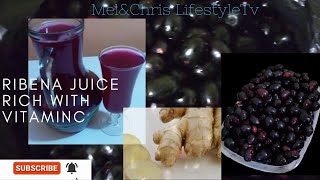 How to make Ribena Juice Rich With Vitamin CBlack Currant juice [upl. by Noissap]