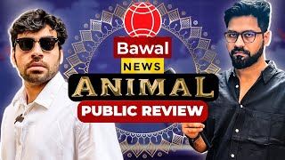 ANIMAL Public Review  Bawaal News [upl. by Llenral]