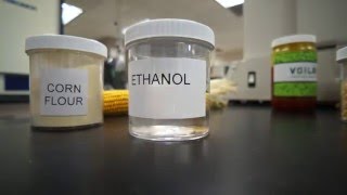 How To Make Ethanol  The Ethanol Effect [upl. by Keverian]