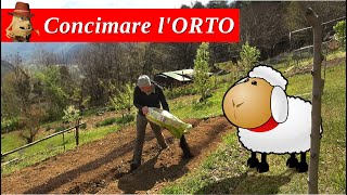 COME scegliere lo STALLATICO e come utilizzarlo per concimare lORTO [upl. by Centeno]