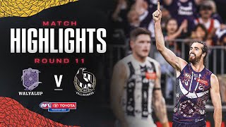 Walyalup v Collingwood Highlights  Round 11 2024  AFL [upl. by Alejna187]