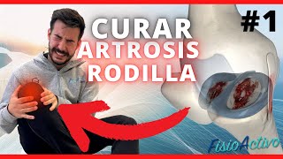 🔴 Los Mejores Ejercicios para Curar Tu ARTROSIS DE RODILLA 1 [upl. by Showker]