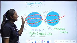 Histon Protein  Short Tricks  For Class 11 Biology [upl. by Elysee]