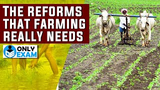 Agricultural Reforms In India  Agriculture Sector  Economy  UPSC  UPPCS  UPSC 2023 ias ips [upl. by Calia]