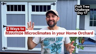 3 Way to Maximize Microclimates in your Home Orchard  Fruit Tree Challenge Day 17 [upl. by Kcuhc]