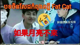 song china sad 2024 បទចិនsadកំពុងល្បីfat cat😭😭 [upl. by Ayita]