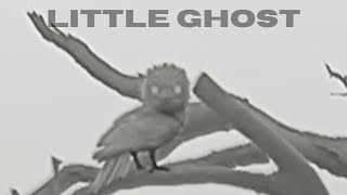 Night Vision Owl or Frogmouth Thermal Imaging Video [upl. by Isacco903]