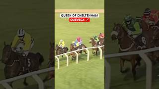 🌟 Quevega The Reigning Queen of Cheltenham 🌟  A Tribute to a Festival Legend [upl. by Niuq]