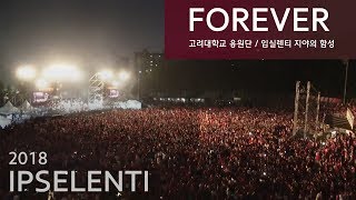 2018 고려대 입실렌티 포레버 FOREVER  고려대학교 응원단  3부 판쓸이 응원 [upl. by Ecineg]