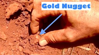 14 gram Gold nugget found while metal detecting [upl. by Darnell821]