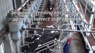 Fullwood Swingover Milking Parlour [upl. by Edlyn]