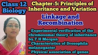 Linkage and Recombination  Class 12 Biology  NEET Biology [upl. by Dominus]