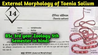 External Morphology of Taenia Solium in hindi  BSc 3rd year Zoology 5th Semester first paper [upl. by Refinnaj147]