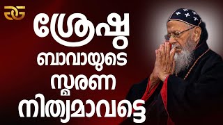 1649  ശ്രേഷ്ഠ ബാവായുടെ സ്മരണ നിത്യമാവട്ടെ  May the Memory of HB Aboon Mor Baselios Thomas Bava [upl. by Limaa]