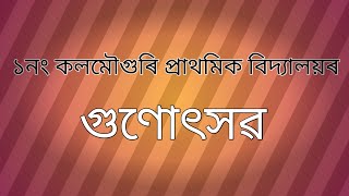 Axomiya suwali cover dance by Jigyasha Borahim rokTM Gunotshav 2024 [upl. by Sev899]