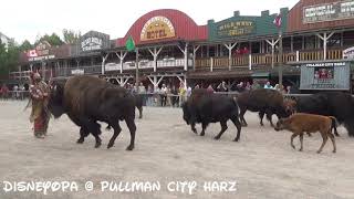 Pullman City Harz Shows Buffalo Bills Wild West Show DisneyOpa [upl. by Einnoj]