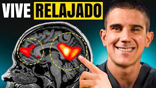 Activar esta RED NEURONAL redujo mi ANSIEDAD un 70 [upl. by Tade]