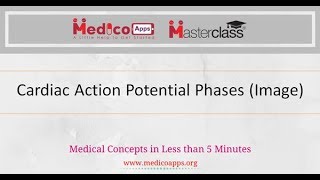 Cardiac Action Potential Phases Image  Graph [upl. by Mindy]