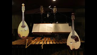 Vibraphone and MandolinMandola recording project [upl. by Daugherty649]