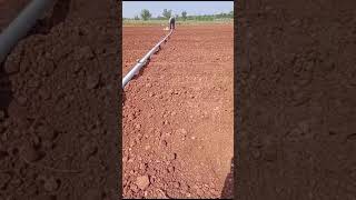 Sprinkler pipeline for onion farming farm farmer water villagelife [upl. by Hajile]