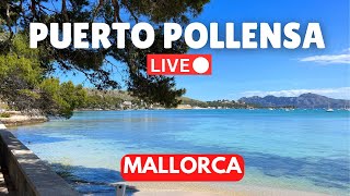 🔴LIVE in Puerto Pollensa Mallorca Majorca  15 June 2024 [upl. by Browne363]