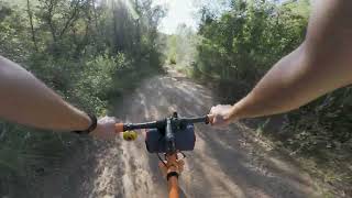 Chill gravel ride through a Mediterranean pine forest 4K [upl. by Wie91]