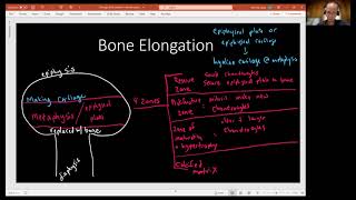 Biology 2010 Ch 6 Bone Tissue and Skeletal System Bone Elongation Video 9 [upl. by Yelrak867]