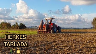 ARPA EKTİK 🌾 KÖYDE BİR GÜNLÜK VLOG 🐑🐄🐓 [upl. by Innej744]