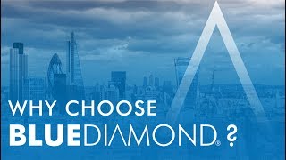 WHY CHOOSE BLUEDIAMOND PUMPS [upl. by Tiphany68]