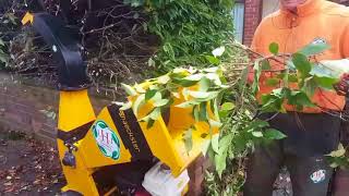 Hedge reduction using HAECKSLER chipper [upl. by Ahsenal]