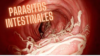 PARASITOS INTESTINALES HELMINTOS PARA ESTUDIANTES PARTE 2 [upl. by Roselani]