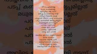 Nee chechelakkallesafa musthafasonglyrics songlyrics [upl. by Adnawyek]