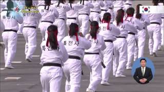 제65주년 국군의날 행사6특전사 태권도 시범 Taekwondo by KOREA ARMY HD [upl. by Grim46]