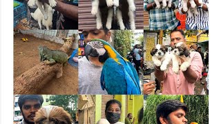 October updated chennai pet market [upl. by Solberg]