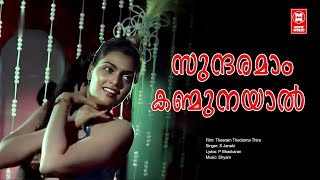 Sundaramam Kanmunayal  Theeram Thedunna Thira  Malayalam Song  P Bhaskaran  Shyam  S Janaki [upl. by Merv]